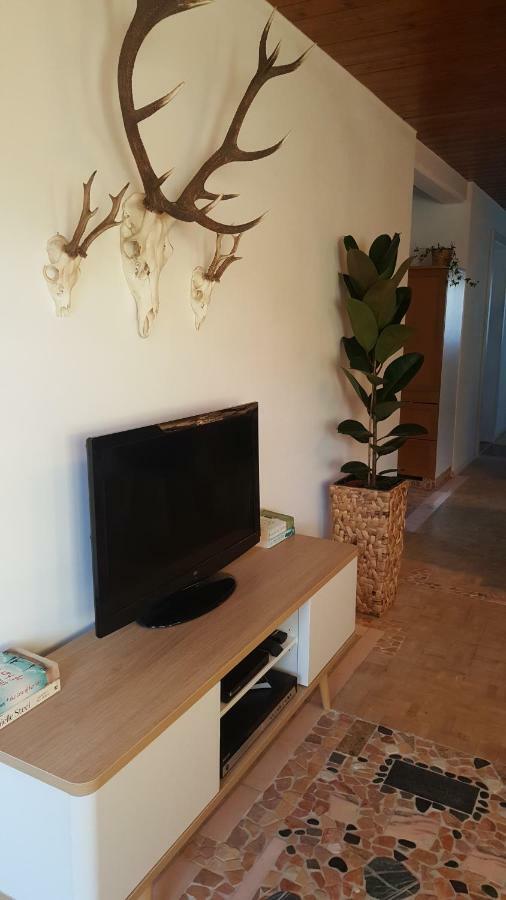 Appartement Unterbergblick Кессен Екстер'єр фото